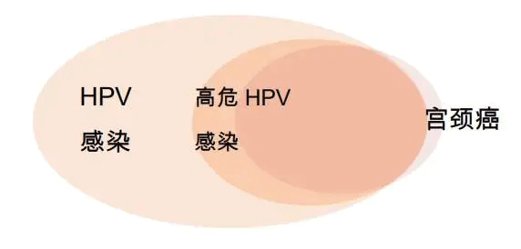 什么是HPV病毒？