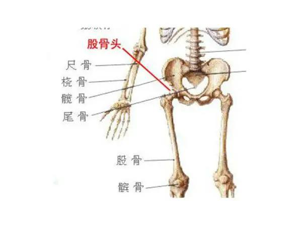 股骨頭不好，不要再做這些運動！