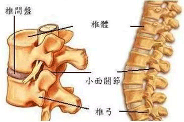 如何預(yù)防腰椎壓迫坐骨神經(jīng)？